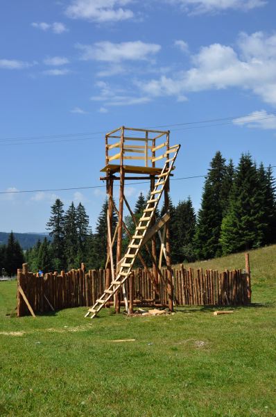 Palisade